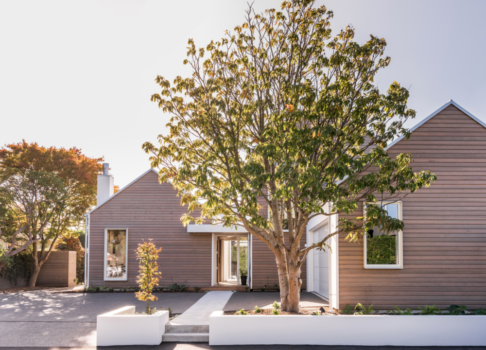 Alaskan Yellow Cedar Merivale 6