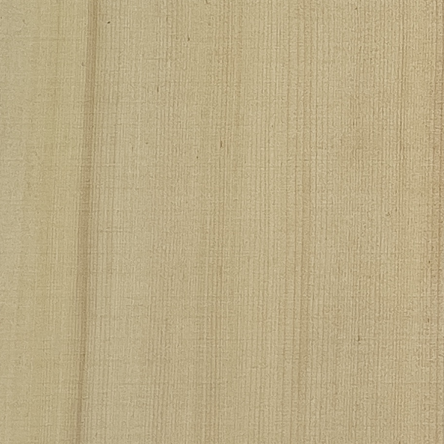 Alaskan Yellow Cedar