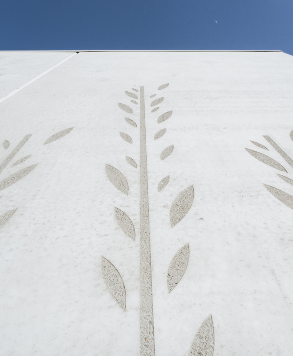 Fosters Janesce Mar 2024 18