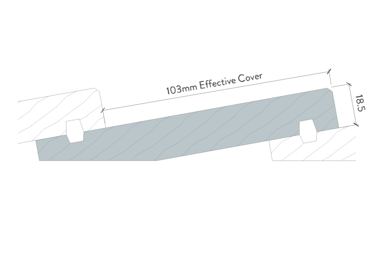 TMT501 Large Size side profiles